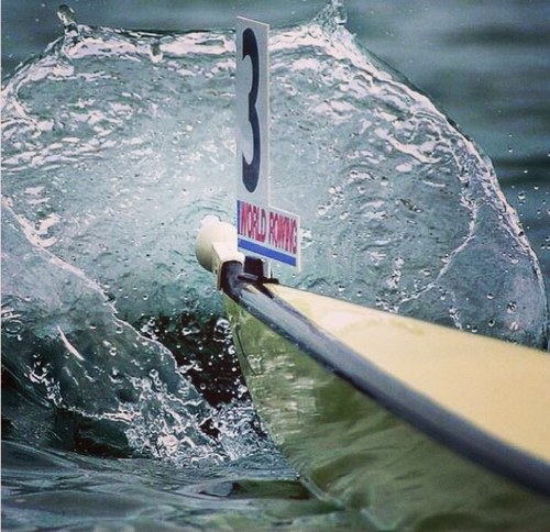 rowing2k's profile picture. 