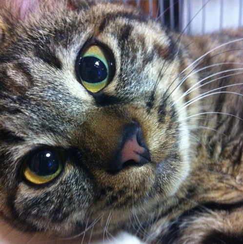 masafa1217's profile picture. おもしろツイート /名言/格言/あるあるツイート /ためになる事/つぶやいて行きます。 よかったら気軽に絡んでくださいね！^_^