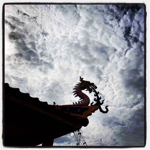 guatchiew's profile picture. 