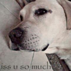 (@Fernanda9405) Medicina Veterinaria.