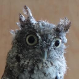 Faculty member in ecology and evolution, now with bonus powers conferred by tenure. Mom to the EcoEvoKids (EEK1 & EEK2). Not actually a cute little owl.