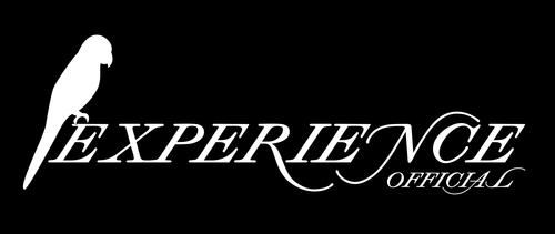 experience official Hardcore : guitar1_ari guitar2_ agis bass_dony drum_rezza vocal_sule