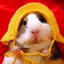 Sonia Vanegas - @soniatazul - Twitter