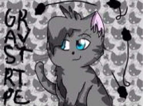 graystripe_'s profile picture. A fearsome warrior whos lost a mate do to giving birth