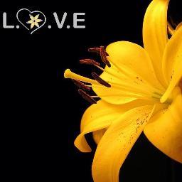 We are the Ladies of Victory and Empowerment (L.O.V.E.) at the University of Maryland. Follow us to stay informed about upcoming events and meetings.