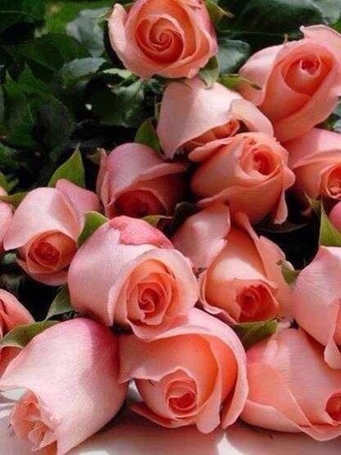 God is love..
