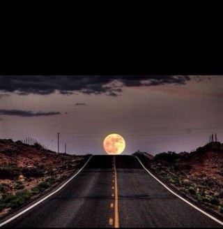 olympic_maniac's profile picture. iusa