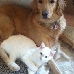 Animal lover and rescuer.  I don't fear the reaper.   I am a recovering cheese addict.   There is nothing like the love of a dog or cat  🐶🐱