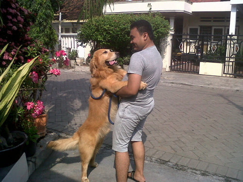 NununTimuri's profile picture. Lebih baik di asingkan dari pada harus menyerah pada kemunafikan.