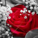 Roqayah hussain (@2323r23r) Twitter