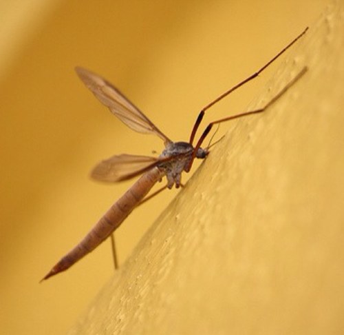 taylorsbug's profile picture. @wyomissings