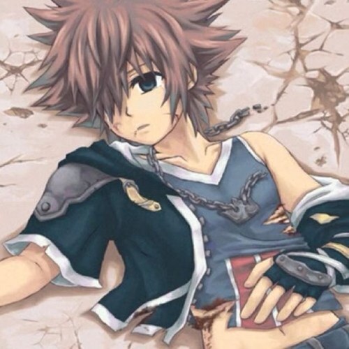 Hey Sora here I'm the keyblade master I'll protect my friends my nobody @RoxasRocksAll I'm also @DuckyLovesWho dog O_____O @StJoeSugarBaby is special to me