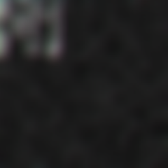 user081613's profile picture. 