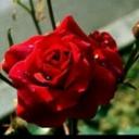 &رهن الوفاء& (@2345_reeeem) Twitter