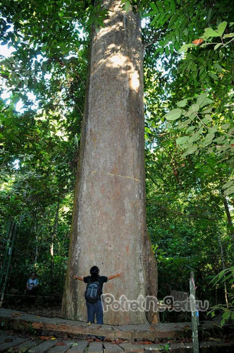 amatsopeng's profile picture. 