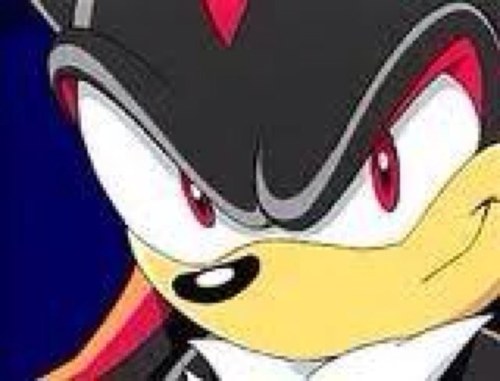 I am shadow the hedgehog and im the ultimate lifeform.i am a good guy now.im a nice hedgehog in other words.taken by @Myshadowandme13