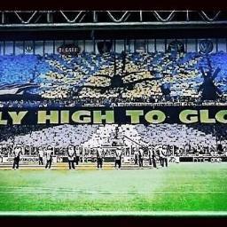 Fenerbahçe manyağı,fanatik bir taraftar.
