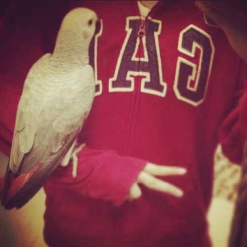 weddi_zad's profile picture. Wedd Al-Zadjali , 8th grader , July 12 , 13 years old ✌I play drums , cancer ♋ psn : Weddii_ & kik Weddi_zad. #Stan ❤