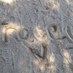 tracey. (@traceeyx) Twitter profile photo