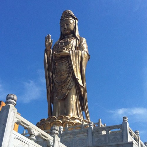 shenhaining's profile picture.