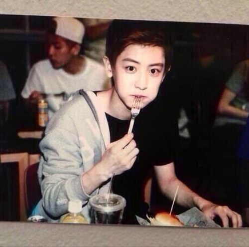 ฟอลกลับ @apichayaeers - _ -;