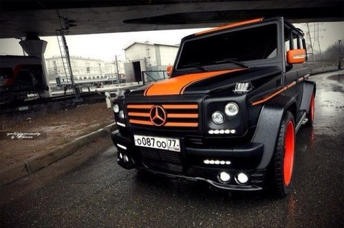 NFilov's profile picture. 