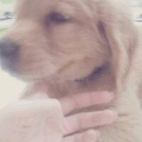 huatyron (@huatyron) 's Twitter Profile