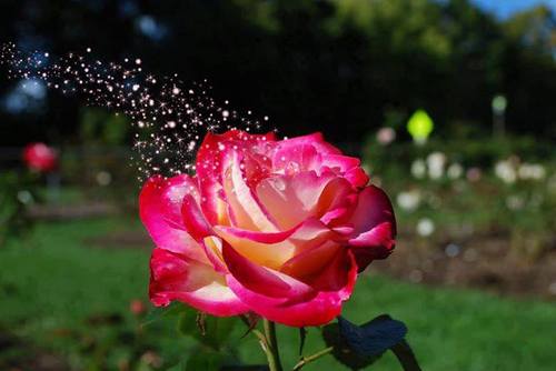 = Feelings Can Be Controlled But Tears Never Lie...
= Single to be happy in life...
= The game is death...