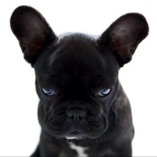 Greg11James's profile picture. 