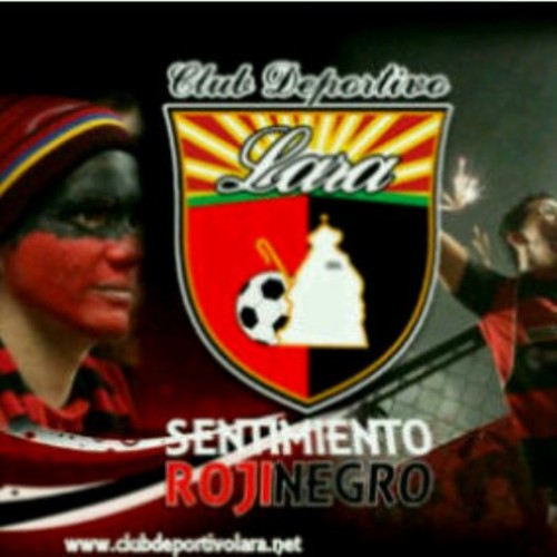 naldoandre Profile Picture