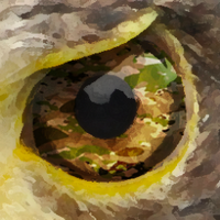 Camo Lab (@camo_lab) 's Twitter Profile