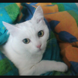 amotrik0's profile picture. Yesterday is History, Today is a Gift, Tomorrow a Mystery,