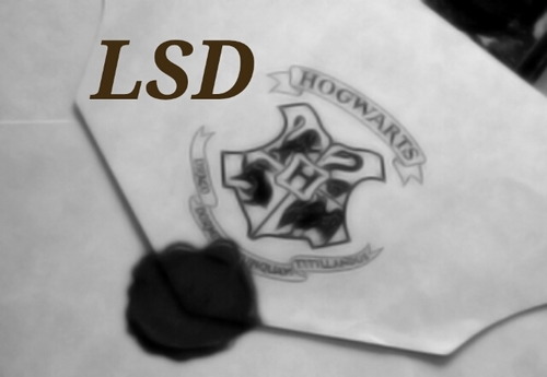 Rol LSD {Locas. Sagas. Digievolucionadas} Unete con una mención o DM y vive en Hogwarts con Semidioses, Vampiros, Magos, Tributos, Drakis y Nefilims.