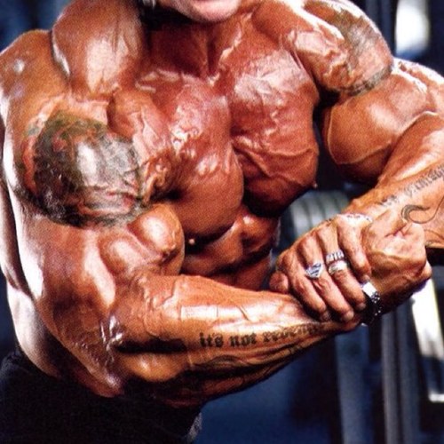 Share your progress for RTs. Daily Gym Motivation & Aesthetic Shoutouts!