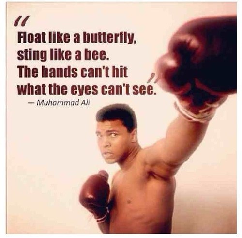 When you bleed, sweat, breathe and live for boxing, you know your a champion whatever the contest
Boxing Quotes to live by, Follow & we will follow back!