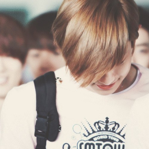 EXO-K Park Chan-Yeol bot