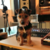 Bitsy (@anjunabitsy) Twitter profile photo Bitsy (@anjunabitsy) Twitter profile photo