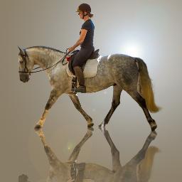 Equine trainer and IAABC certified behaviour consultant and ABTC Accredited Animal Behaviourist. Reward based trainer, bitless trainer