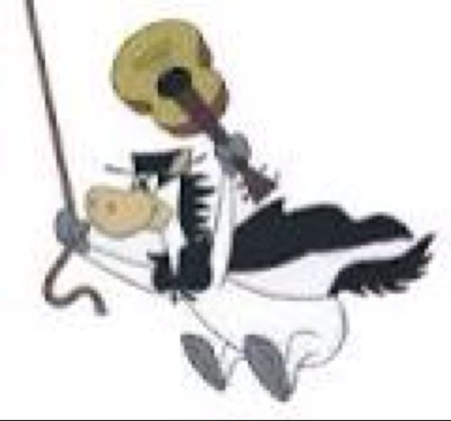 Me gustan temas politicos e interesantes, literatura, chistes, música, perros,perritos, perrotes, comentarios agudos,filosos y el humor negro chocolate🧘🏻‍♀️🎾