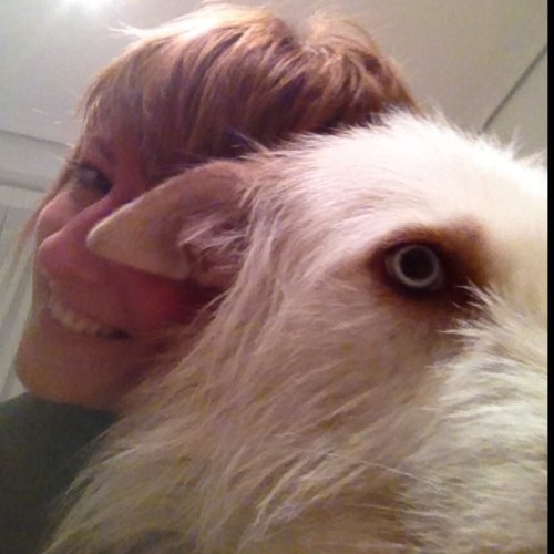 _vagalume_ Profile Picture