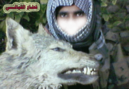 ‏‏‏امخوي الذيب