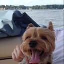 Brian Angus - @BaAngus - Twitter