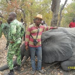 ikodjoh's profile picture. OFFICIER INGENIEUR DES EAUX FORETS ET CHASSE / AUDITEUR DE MASTER 2_DESS  EN AMENAGEMENT ET GESTION DURABLE DES RESSOURCES NATURELLES: ECOLE DOCTORALE