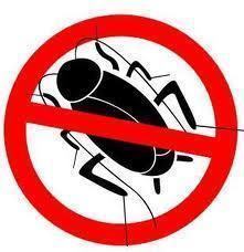 Orens3 Fumigaciones desde 1988
una compañia de control de todo tipo de plagas dedicados a satisfacer a nuestra gama de clientes de manera garantizada .