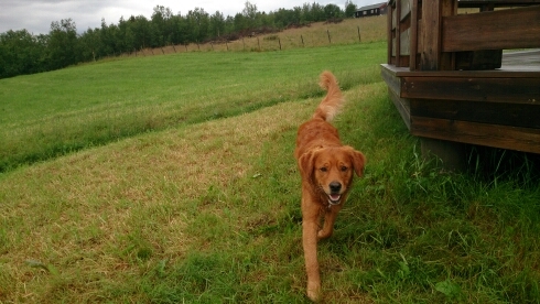 GunnMartheSand's profile picture. 