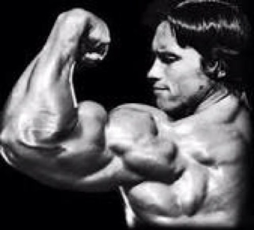 fitfamG's profile picture. I'm an airline technician, Father and Husband. I gym it every day and im fan of sports nutrition and bodybuilding. My goal - to become more aesthically pleasing