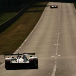 SacharczukMarek's profile picture. 