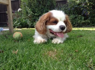 HelenJones176's profile picture. 