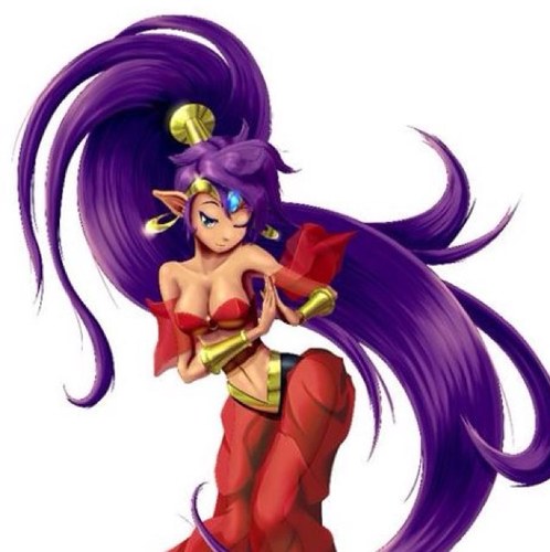 Shantae here! Im a Half-Genie, but someday I'll be a full, true Genie! I've stopped Risky Boots from destroying Sequin Land plenty of times! #Multiverse