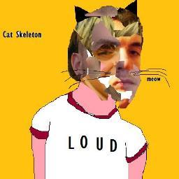 Garage/noise rock/lo-fi/kpop/reverb           WE ARE CAT SKELETON Connor-@OllyCatSket-@phil_piner-George